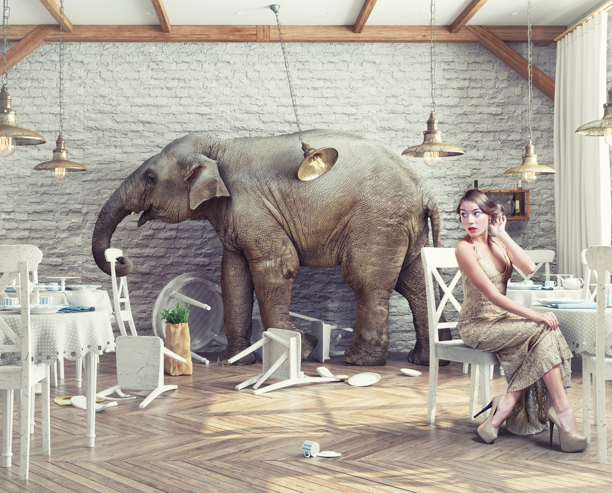 COVID-19 is the elephant in the room. 